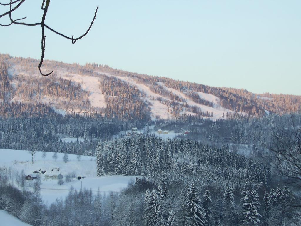 Sogn Gjestegard Svarstad  Ruang foto