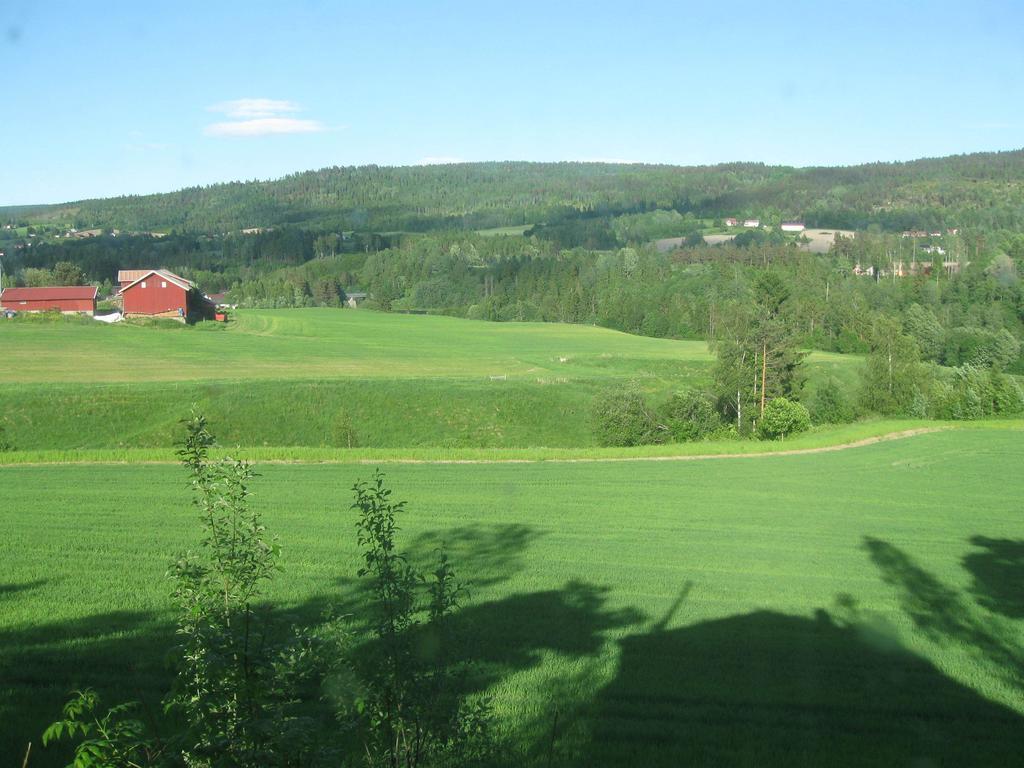 Sogn Gjestegard Svarstad  Ruang foto